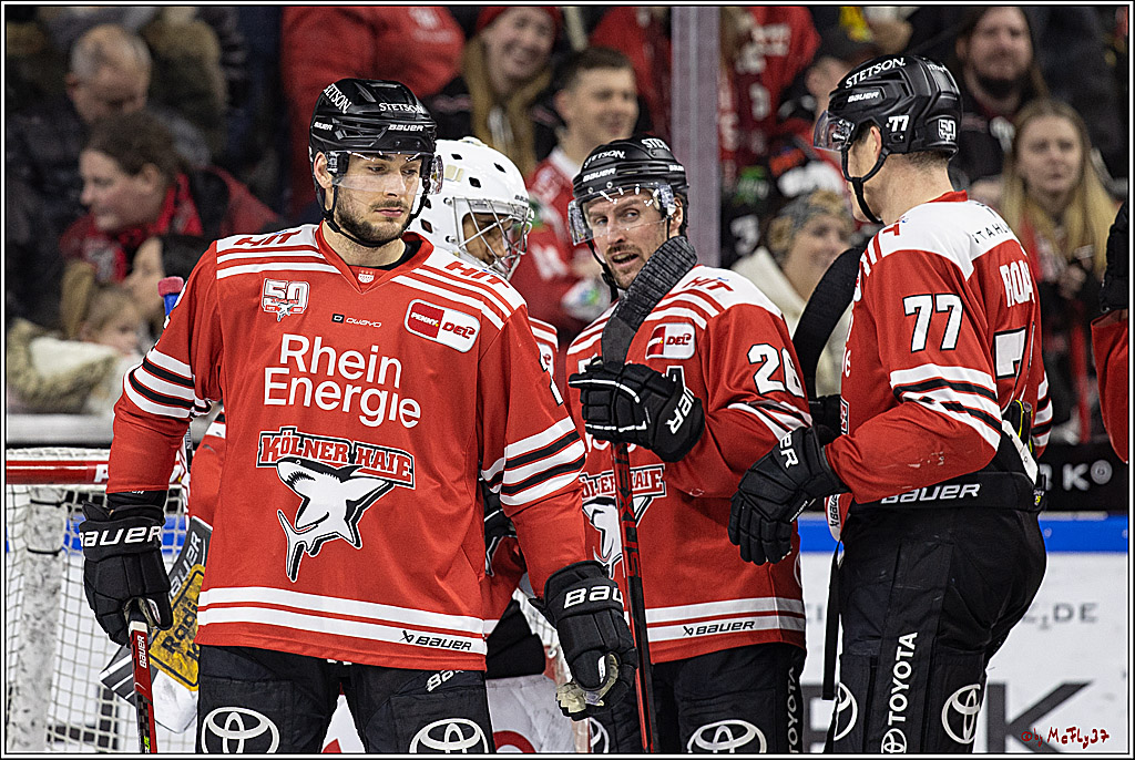 PENNY DEL;  Kölner Haie - Loewen Frankfurt; Köln, 18.12.2022